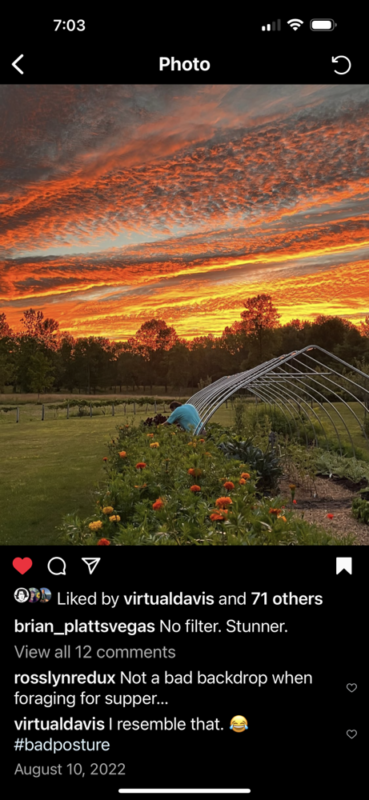 Giebel Garden Flashback (Photo: Brian Giebel via Instagram)