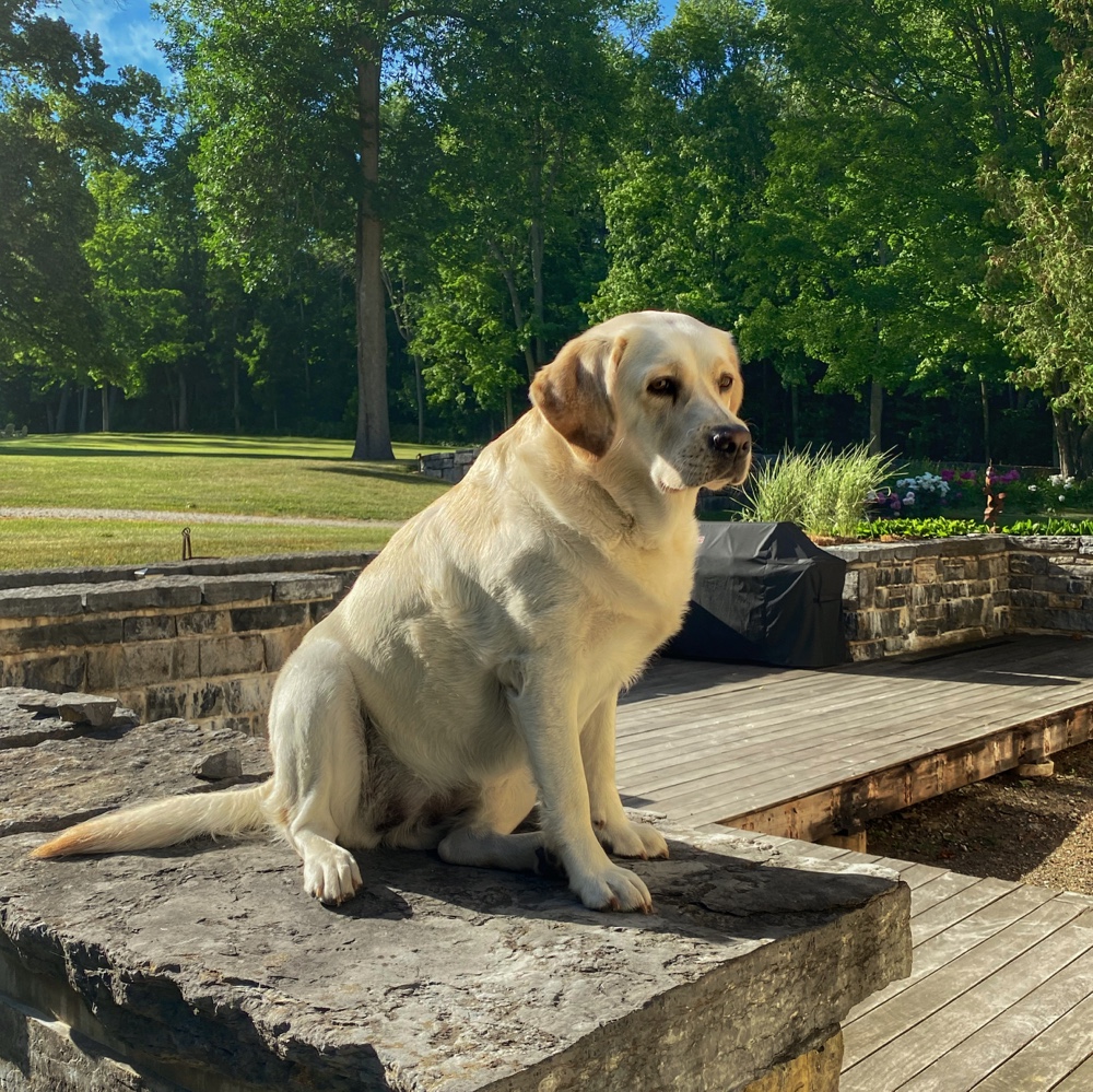 Carley Overseeing Demo of Old Deck (Photo: Geo Davis)