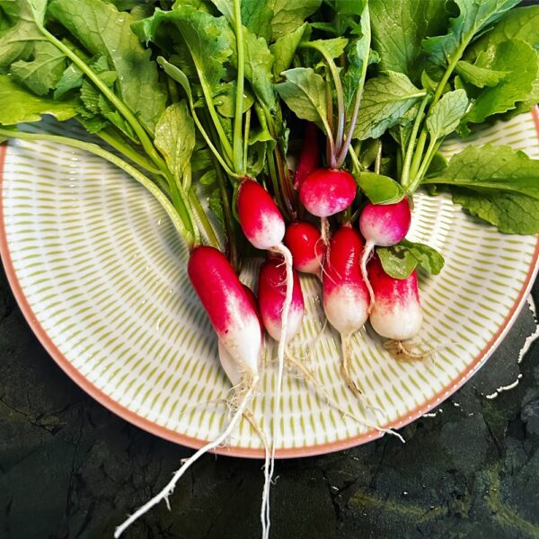 French breakfast radishes: Heaven can wait! (Photo: Geo Davis)