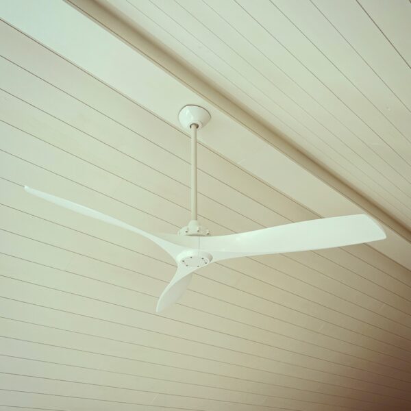 Ceiling Fan Haiku​ (Photo: Geo Davis)