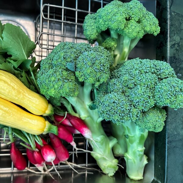 Broccoli, Radishes, and Summer Squash​ (Photo: Geo Davis)