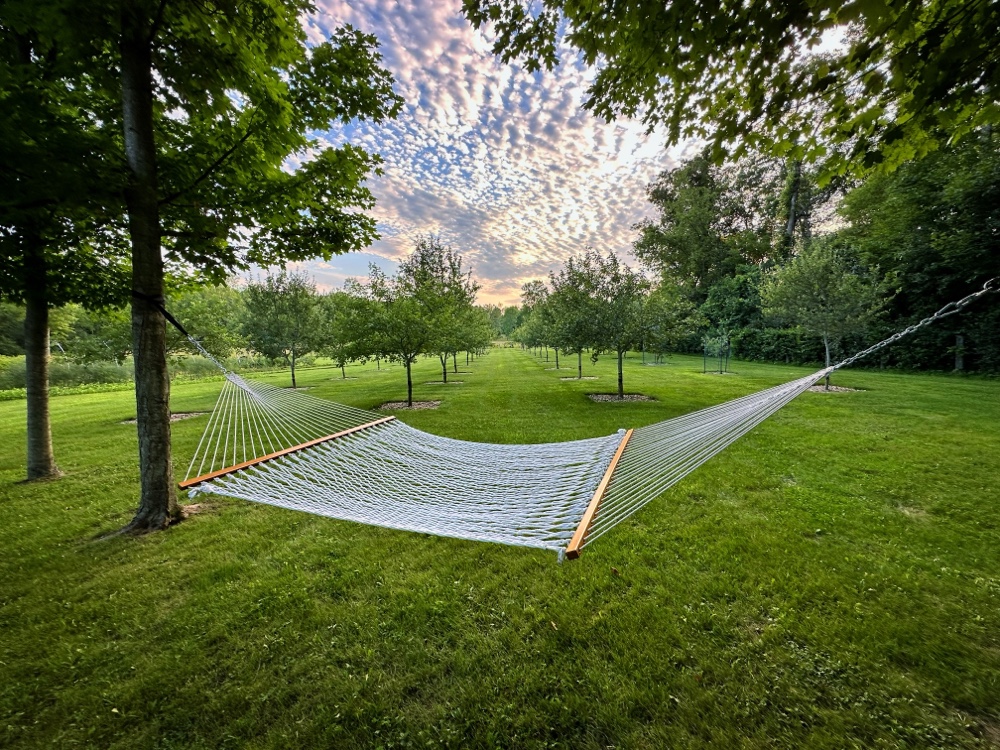 National Hammock Day