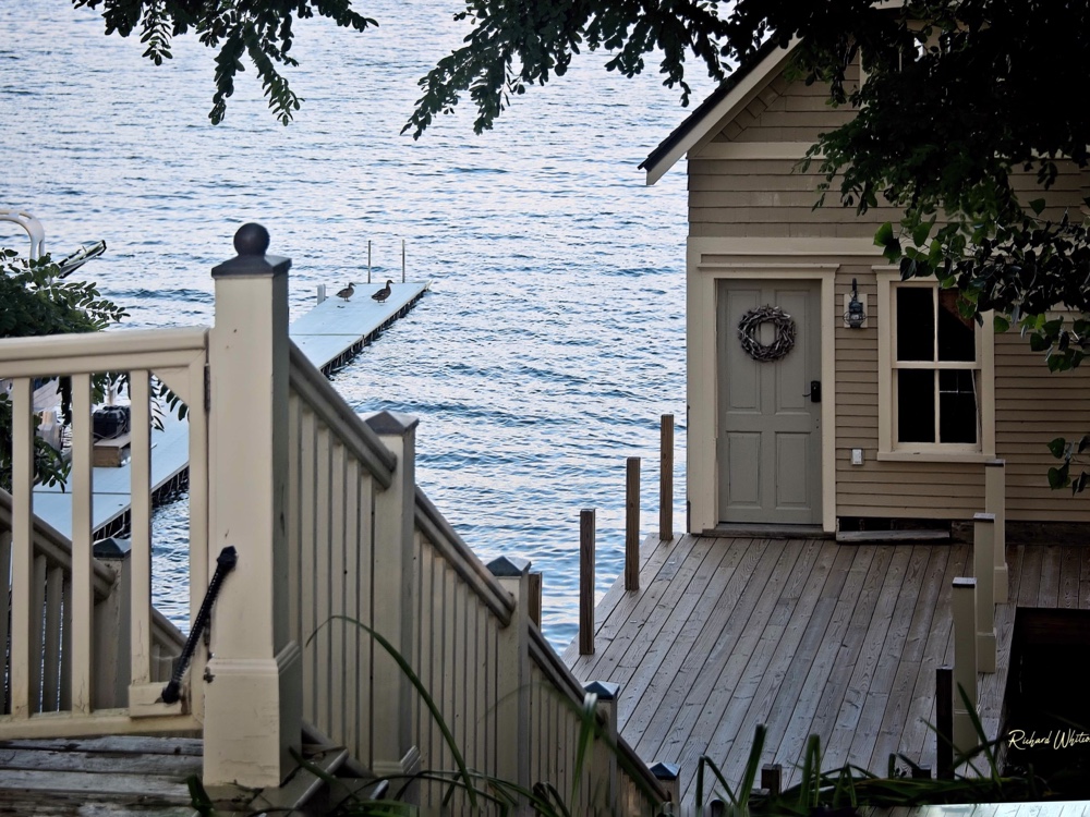 Ducks on Dock (Photo: Richard Whitcomb)