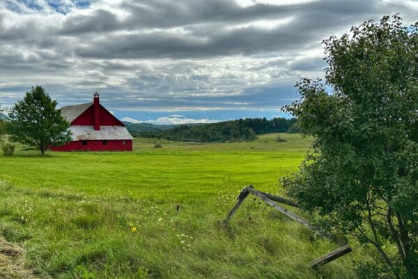 Rain Soaked Roadside Barn (Photo: Geo Davis)