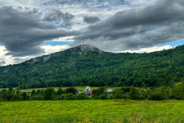 Rain Soaked Full and By Farm (Photo: Geo Davis)