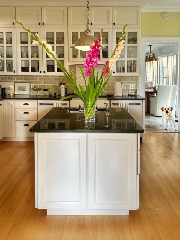 Gladioli from Champlain Peony Company (Photo: Geo Davis)