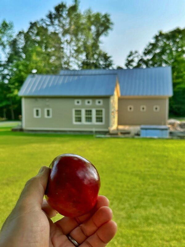 Apple a Day (Photo: Geo Davis)