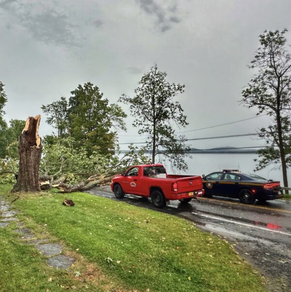 Storm Damaged Maple (Photo: Geo Davis)