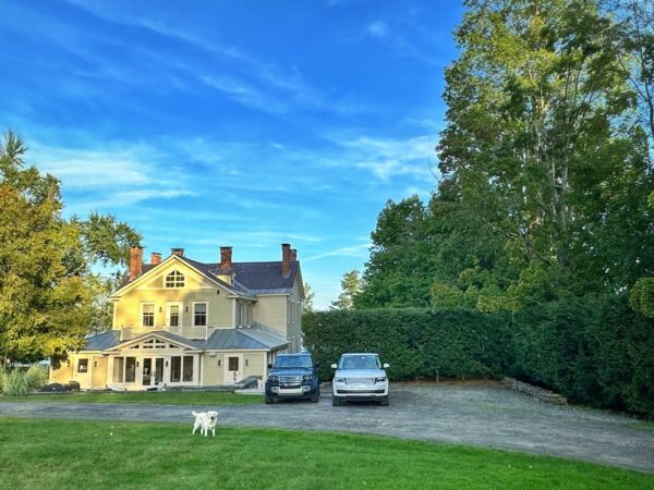 Hemlock Hedge Trimmed (Photo: Geo Davis)