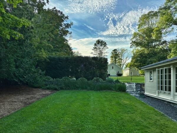 Hemlock Hedge Trimmed (Photo: Geo Davis)