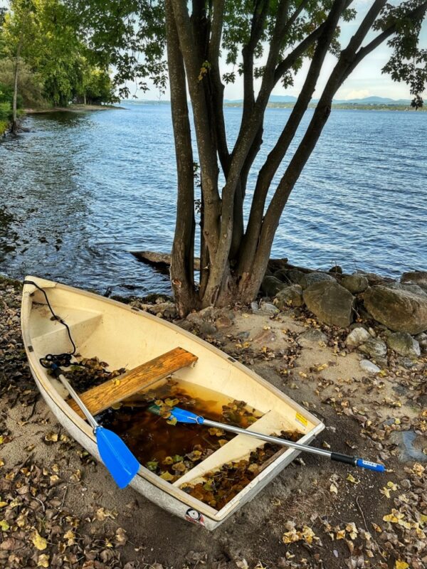 Swampy Dinghy​ (Photo: Geo Davis)