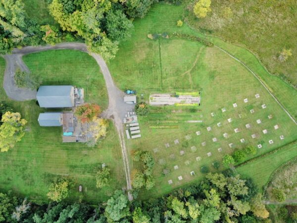 Bird’s Eye View​: Backyard (Photo: Geo Davis)