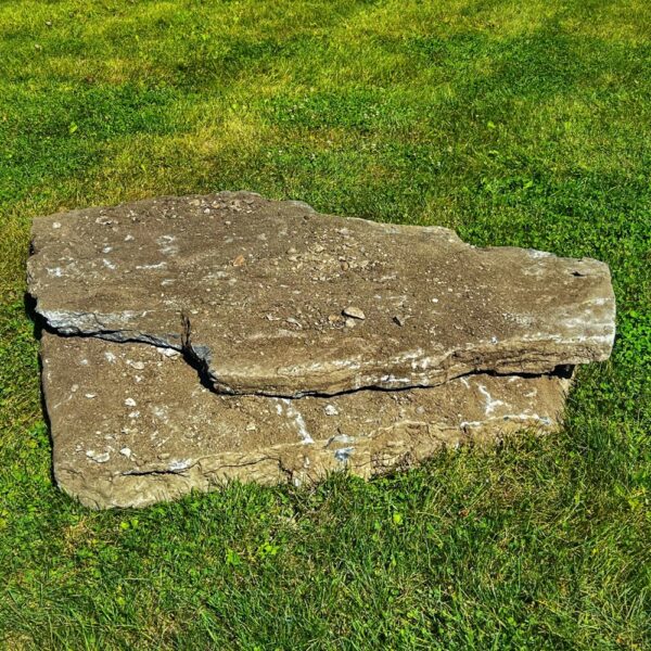 Salvaged Stone from Sidewalk Replacement (Photo: R.P. Murphy)