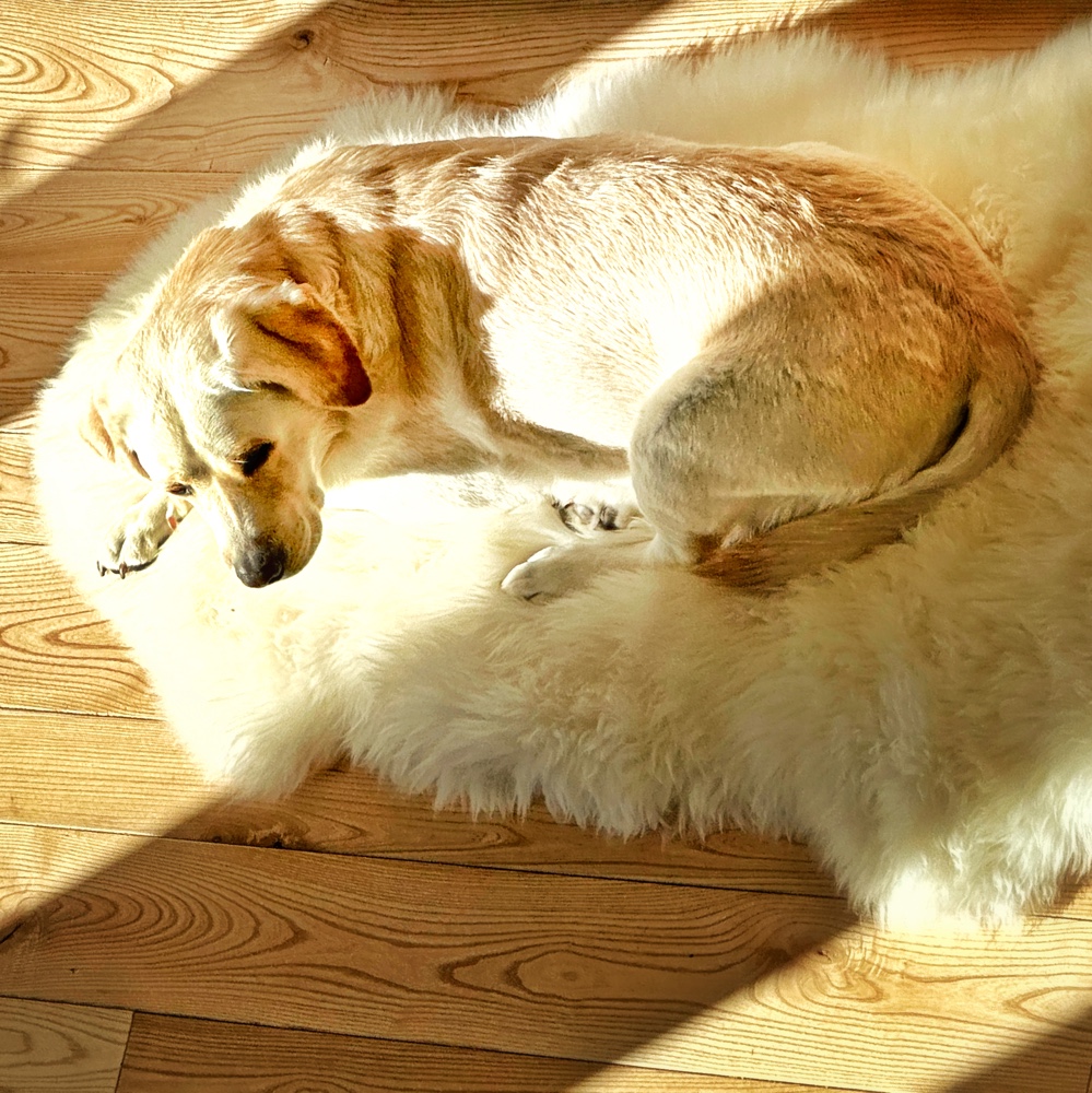 Carley Sun Puddling (Photo: Susan Bacot-Davis)