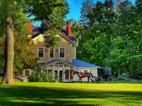 Amish Adieu (Photo: Geo Davis)