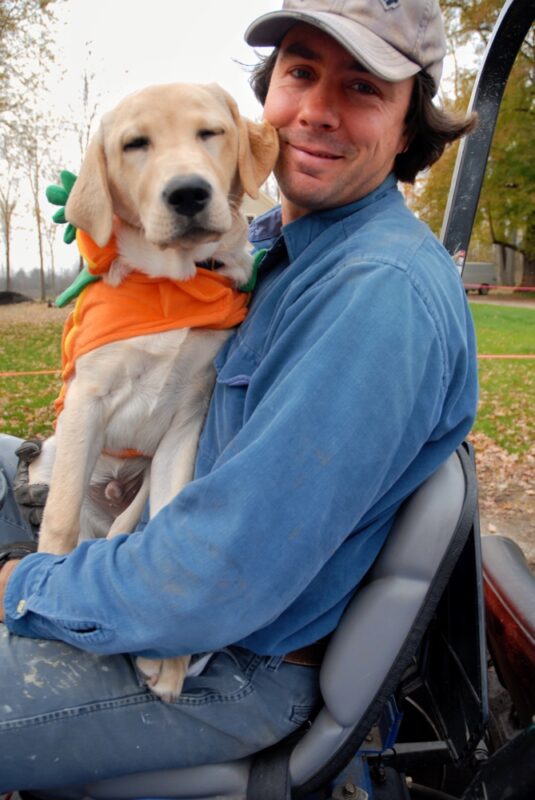 Stone Wall Retrospective: tractoring with Griffin (Photo: Susan Bacot-Davis)