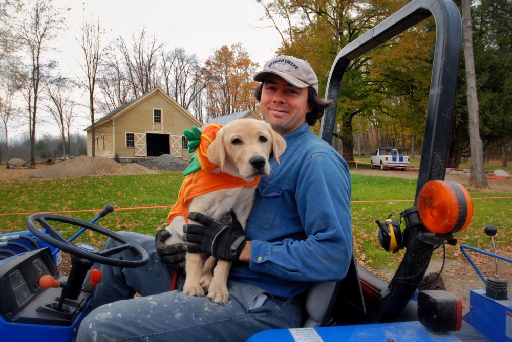 Stone Wall Retrospective: tractoring with Griffin (Photo: Susan Bacot-Davis)