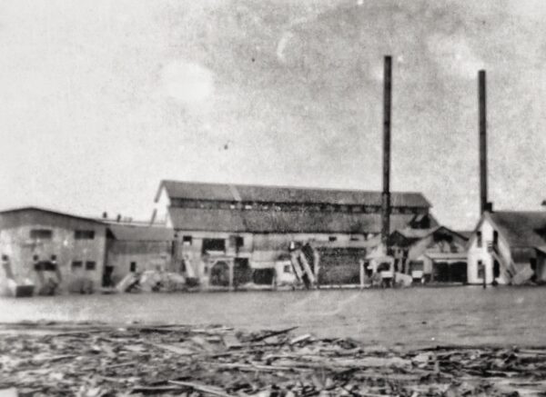 Willsboro Paper Mill, circa 1900 (Source: Antique Postcard)