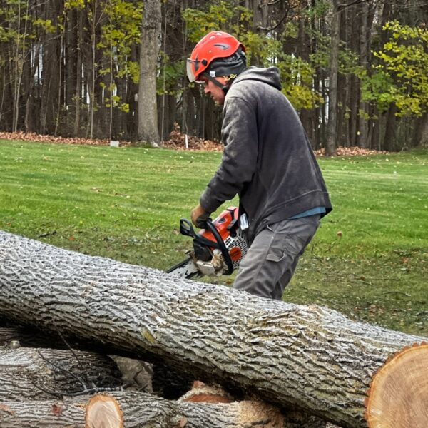 Aaron Lumberjacking (Photo: R.P. Murphy)