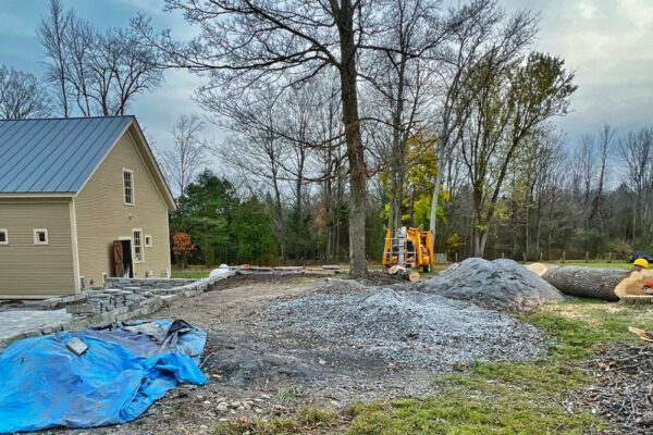 Stump-to-Lumber: ash down, maple remains (Photo: R.P. Murphy)