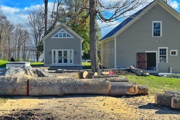 Stump-to-Lumber: behind the barns (Photo: R.P. Murphy)