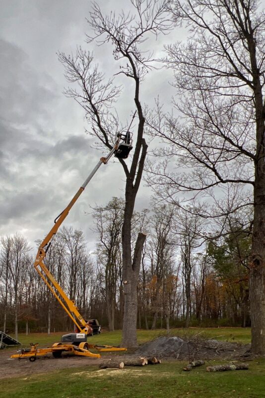 Stump-to-Lumber: Aaron in the lift (Photo: R.P. Murphy)