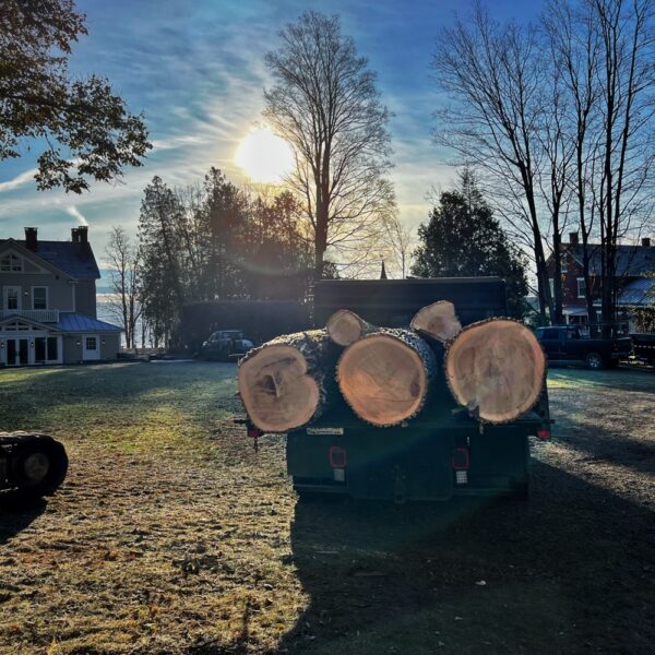 Logs Off to Sawmill (Photo: R.P. Murphy)