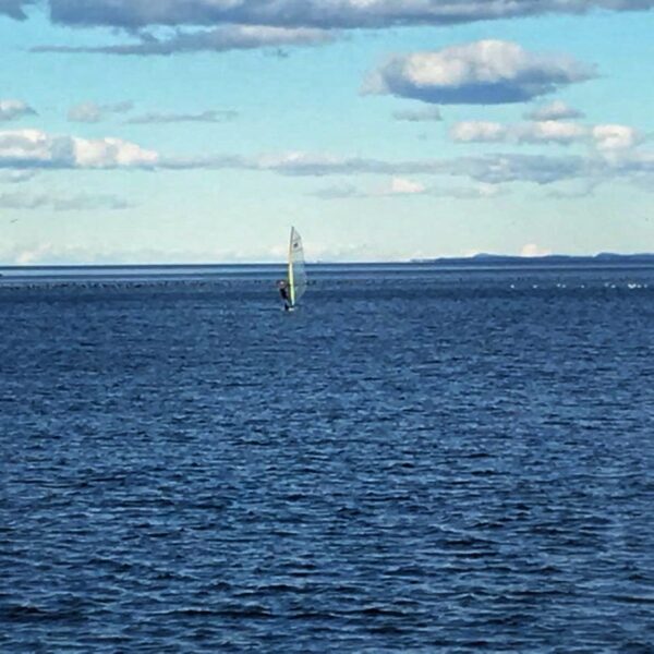 Geo Windsurfing, November 26, 2015 (Photo: Susan Bacot-Davis))