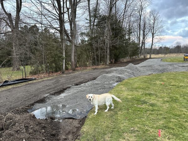 Carley Inspects the Driveway Tuneup, December 2023 (Photo: Geo Davis)