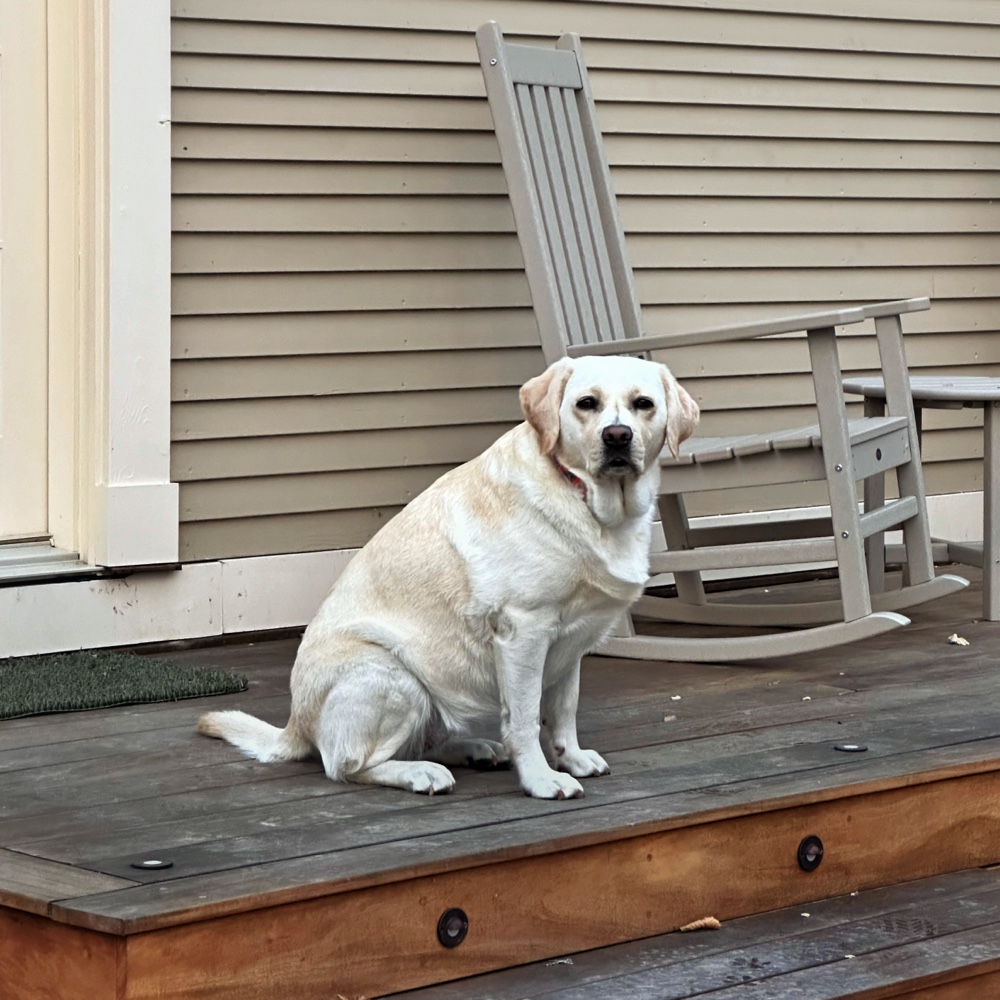 Carley Sitting Sentry​ at the Icehouse (Photo: Geo Davis)