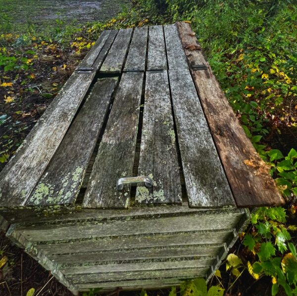 Compost Bin v1.0 (Photo: R.P. Murphy)