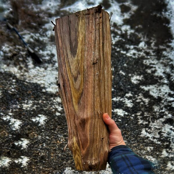 Walnut Heartwood Blank (Photo: Glen Gehrkens)