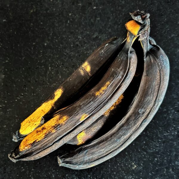 Bananas bound for compost or banana porridge bread? (Photo: Geo Davis)​