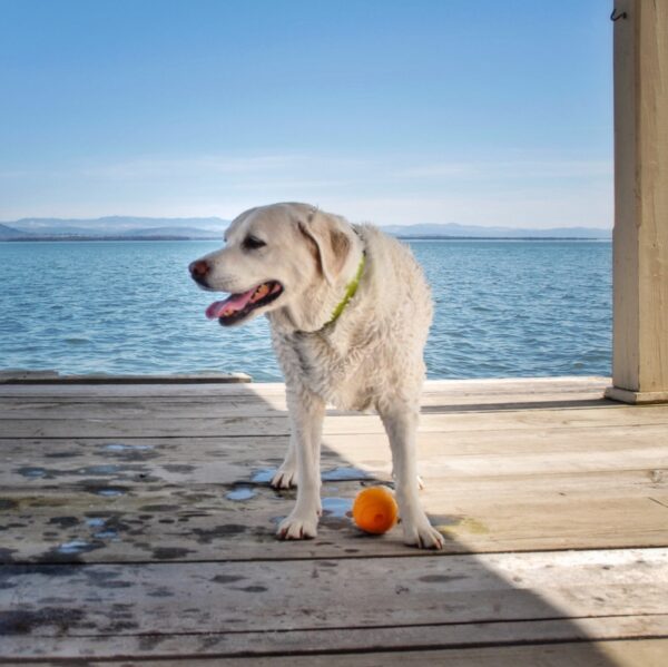 Tasha in Boathouse, April 2007 (Photo: Geo Davis)