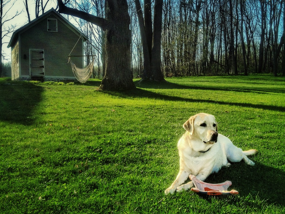 Griffin by Icehouse, April 2012 (Photo: Geo Davis)