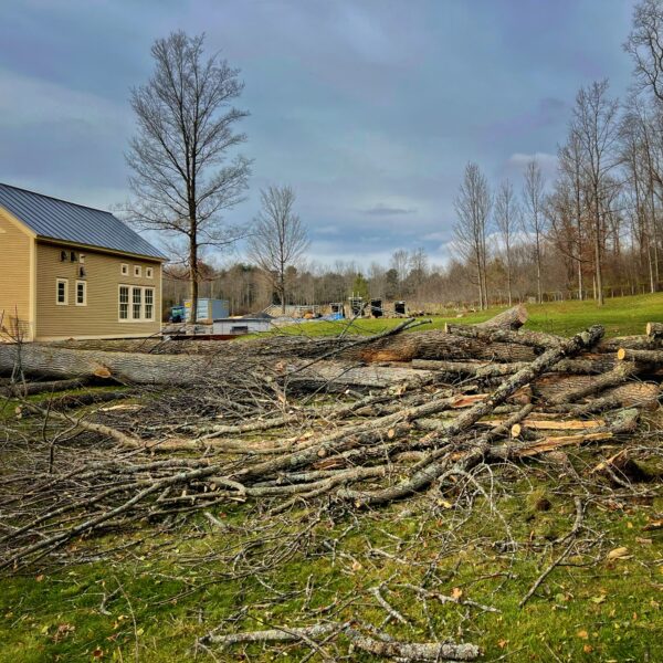 Declutter Grounds (Photo: Tony Foster)