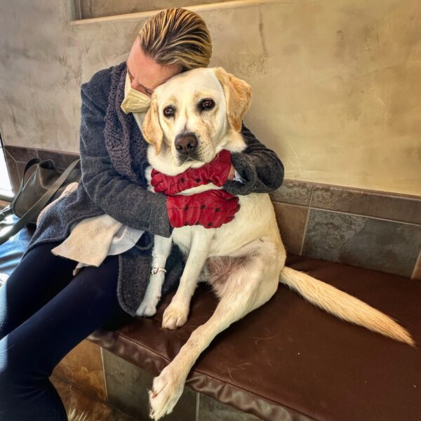 Carley Understands Vet Visits (Photo: Geo Davis)