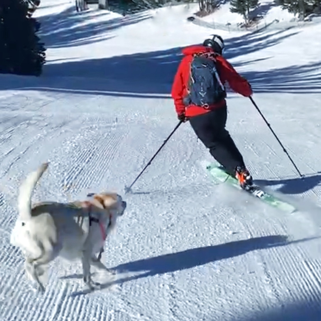 Telemarking with Carley (Photo: Susan Bacot-Davis)