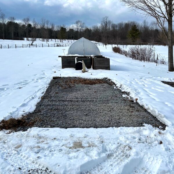 So Long, Storage Container (Photo: Glen Gehrkens)