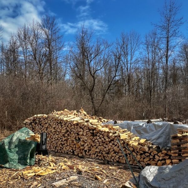 Poetics of Firewood​ (Photo: R.P. Murphy)