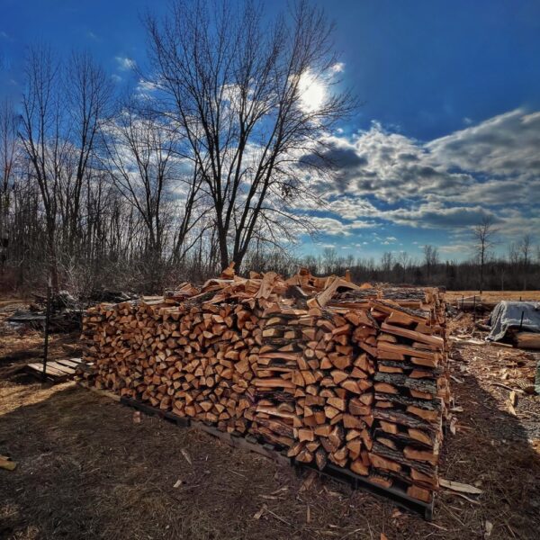 Poetics of Firewood​ (Photo: R.P. Murphy)