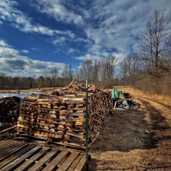 Poetics of Firewood​ (Photo: R.P. Murphy)