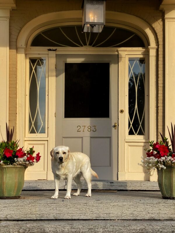 Carley: Hostess with the Mostest (Photo: Geo Davis)