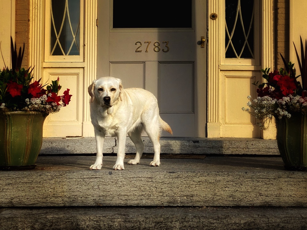 Carley: Hostess with the Mostest (Photo: Geo Davis)