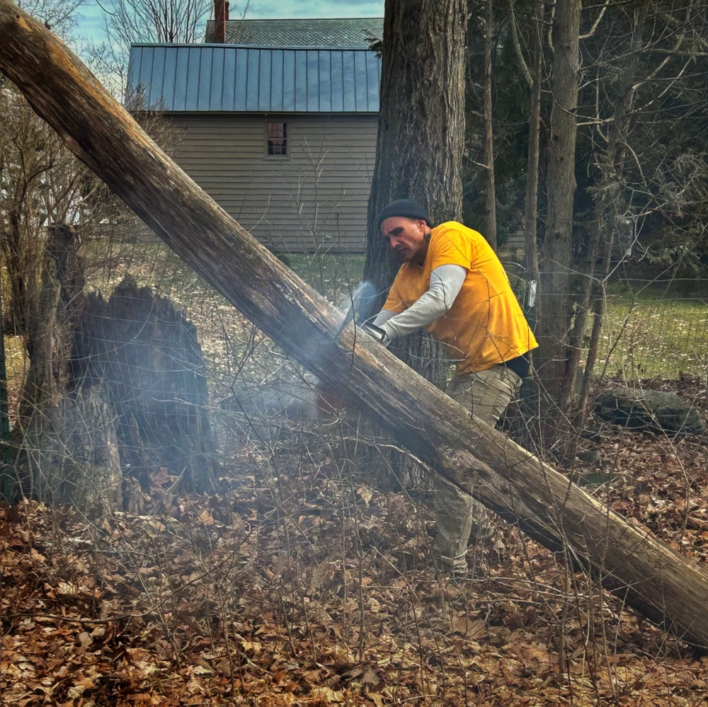 Hung Tree Unhung: Thank You, Tony (Photo: Geo Davis)