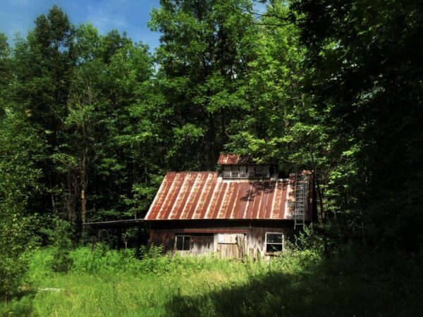 Sugaring Season Past: sugar shack, July 18, 2019 (Photo: Geo Davis)