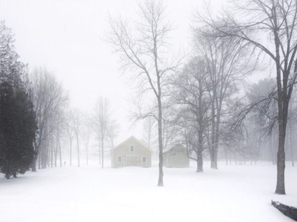 Whiteout, Wife Out on March 12, 2014 (Photo: Geo Davis)