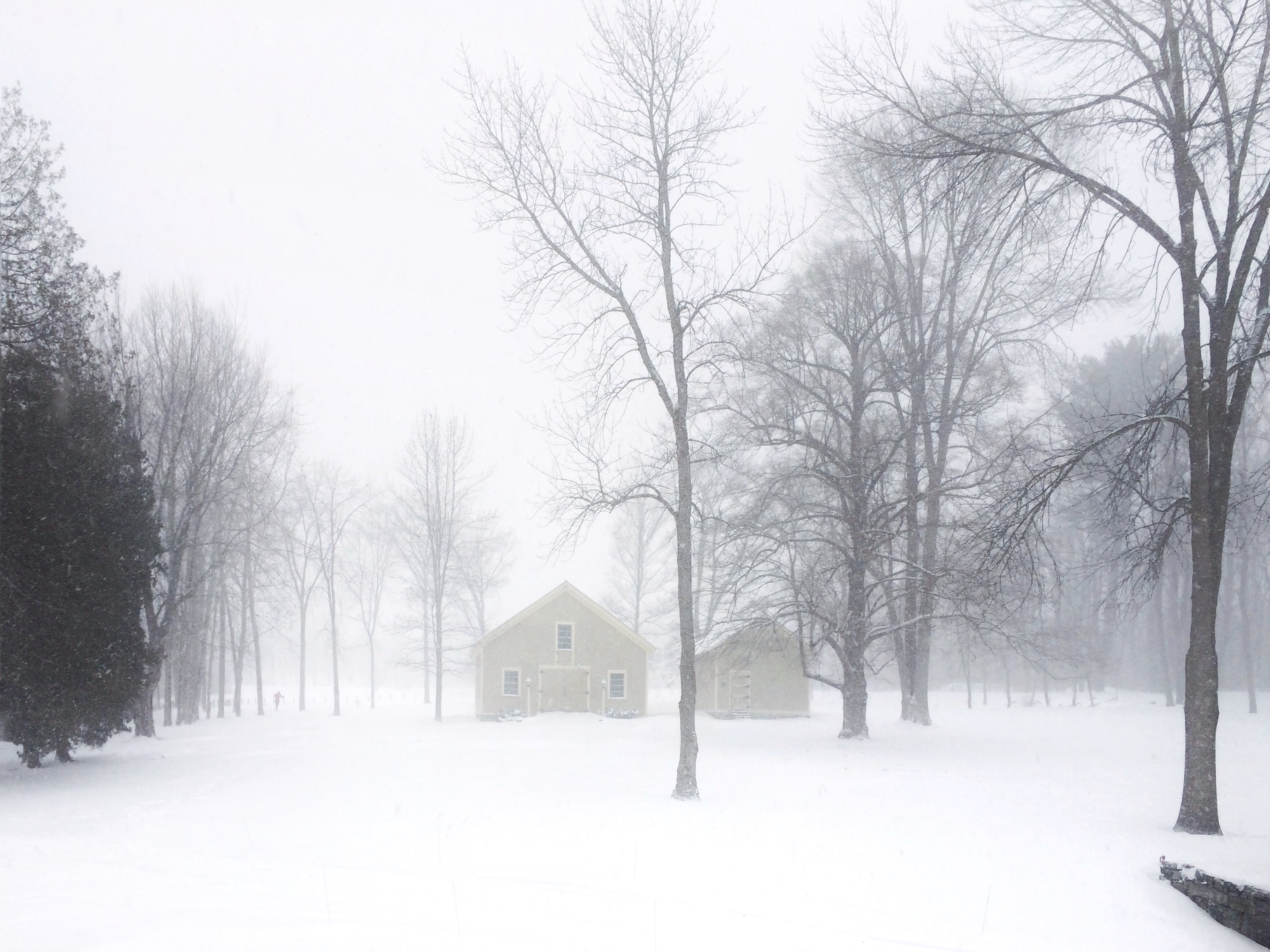 Whiteout, Wife Out