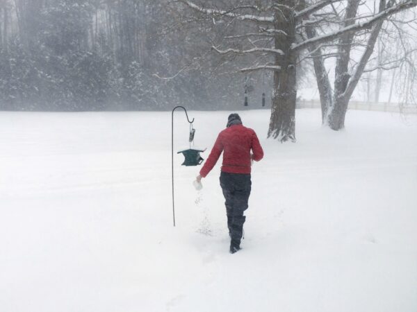 Whiteout, Wife Out to Feed Birds on March 12, 2014 (Photo: Geo Davis)