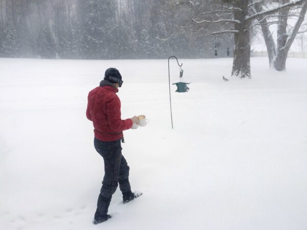 Whiteout, Wife Out to Feed Birds on March 12, 2014 (Photo: Geo Davis)